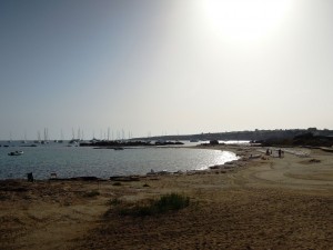 img_236_Formentera